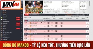 Bóng rổ MAX88