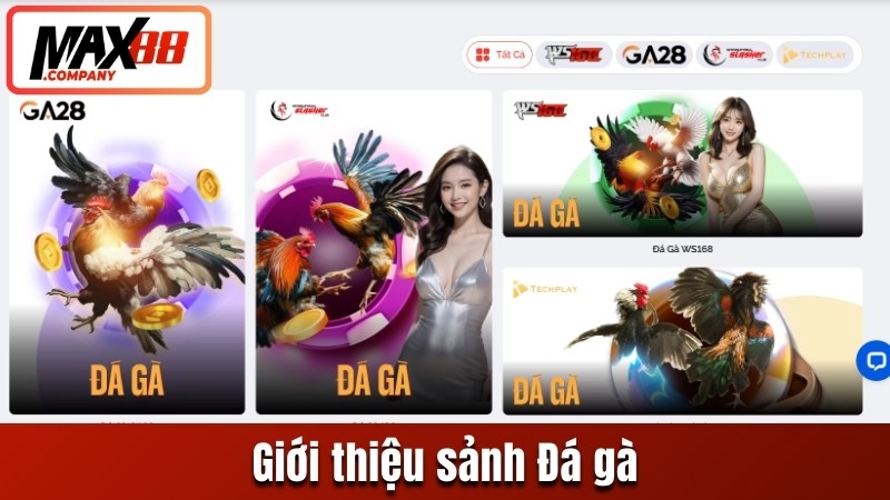 Giới thiệu sảnh Đá gà